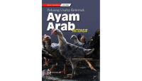 Image of Peluang Usaha Beternak Ayam Arab Intensif